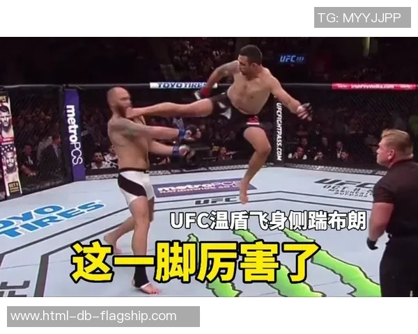 UFC凯恩与温盾激烈对决谁将成为新的冠军之争引发热议